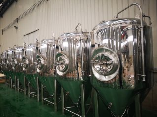 India Conical Fermenter for Sale