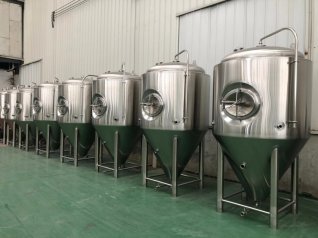 10HL Jacketed Fermenter