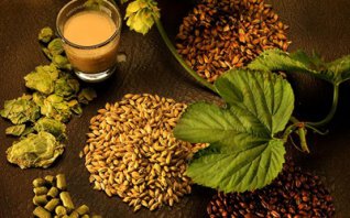 How to add yeast to beer?