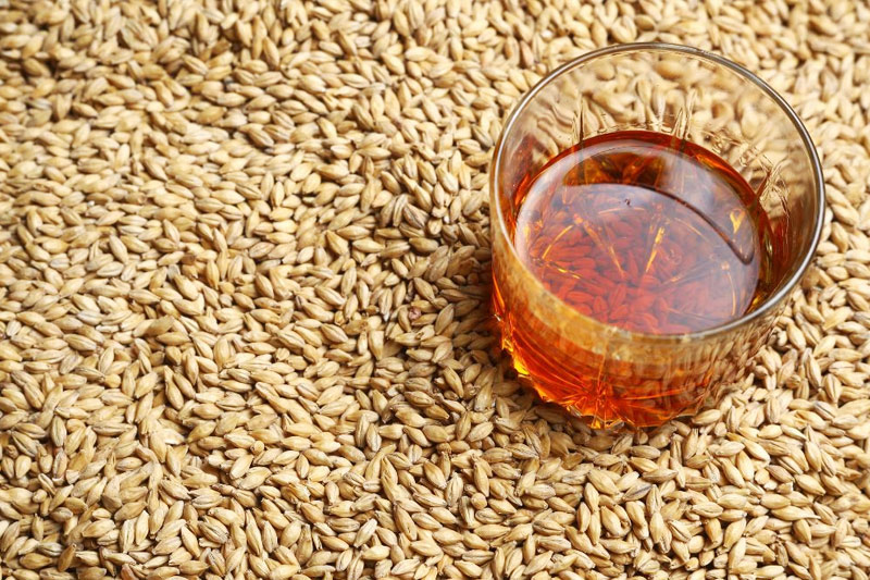 How does the malt used in brewing equipment affect beer?